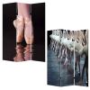 48" X 72" Multi Color Wood Canvas Ballet  Screen