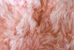 24" X 36" X 1.5" Pink Single Sheepskin - Area Rug