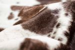 Brown And White Spotted Natural Cowhide Area Rug