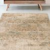 5' X 8' Champagne Vintage Area Rug